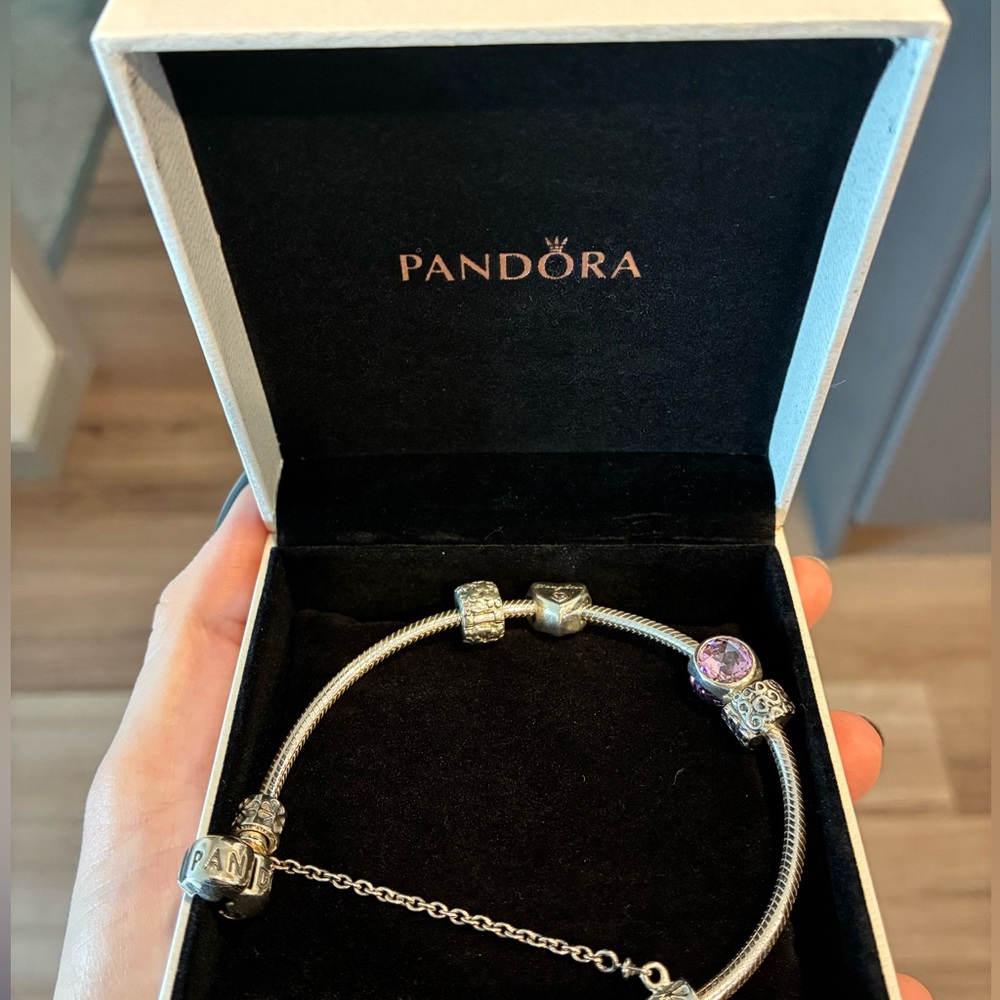 Pandora Silver Charm Bracelet - Picture 3 of 6
